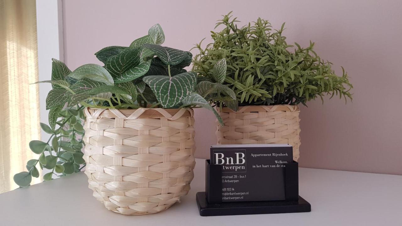 Bnb Antwerpen - Chique 外观 照片