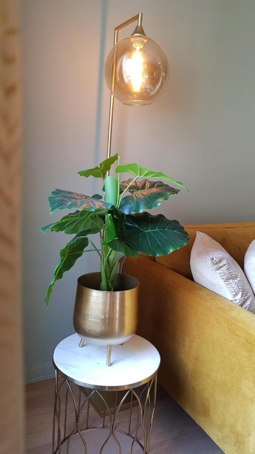 Bnb Antwerpen - Chique 外观 照片